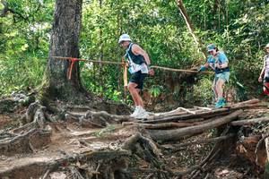 BIB: 
                            <button type="button" onclick="openModal(27556709)" class="btn btn-primary btn-sm float-right btn-popup" data-toggle="modal" data-target=".modal-high-quality">
                        <i class="fas fa-shopping-cart"></i> Add to Cart
                    </button>
                                            <button type="button" onclick="isThisMe(27556709, true)" class="btn btn-success btn-sm float-right btn-popup btn-isme hidden" data-toggle="tooltip" data-placement="bottom" title="นี่คือรูปของคุณใช่ไหม คลิกที่นี่เพื่อเอาเข้าอัลบั้ม">
                        <i class="fas fa-plus"></i> Add to album
                    </button>
                    <button type="button" onclick="isThisMe(27556709, false)" class="btn btn-warning btn-sm float-right btn-popup btn-isnotme hidden">
                        <i class="fas fa-ban"></i> Remove from album
                    </button>